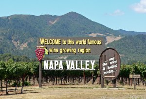 Welcome to Napa Valley!